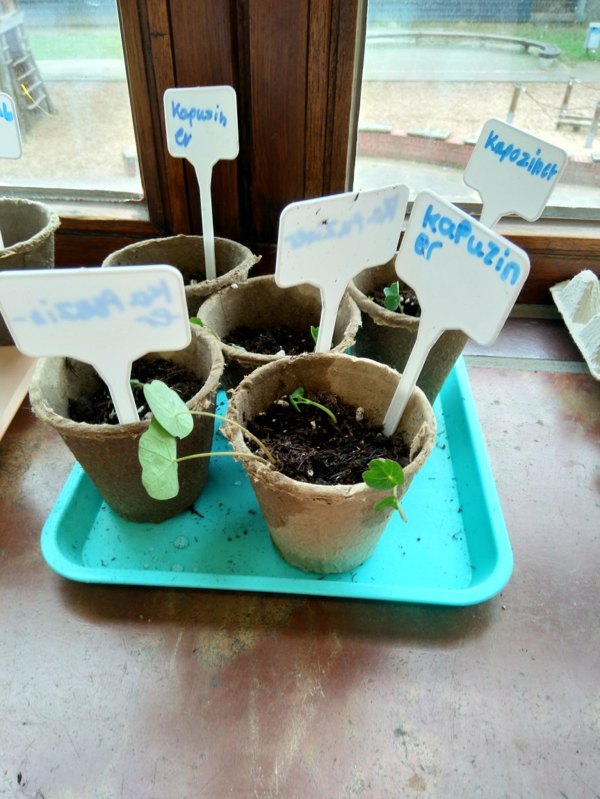 Neuigkeiten zum Thema&nbsp;Garten