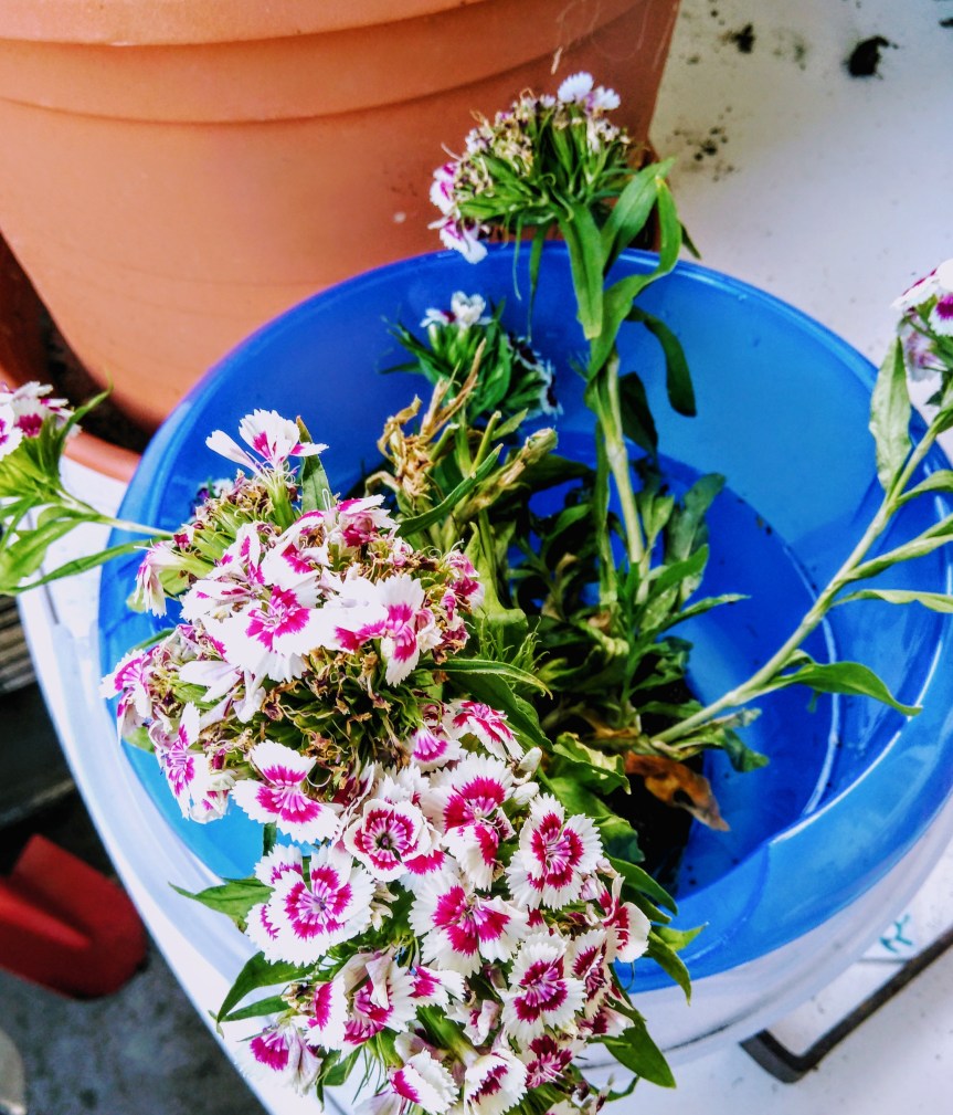 Soziales Netzwerken außerhalb des&nbsp;Internets