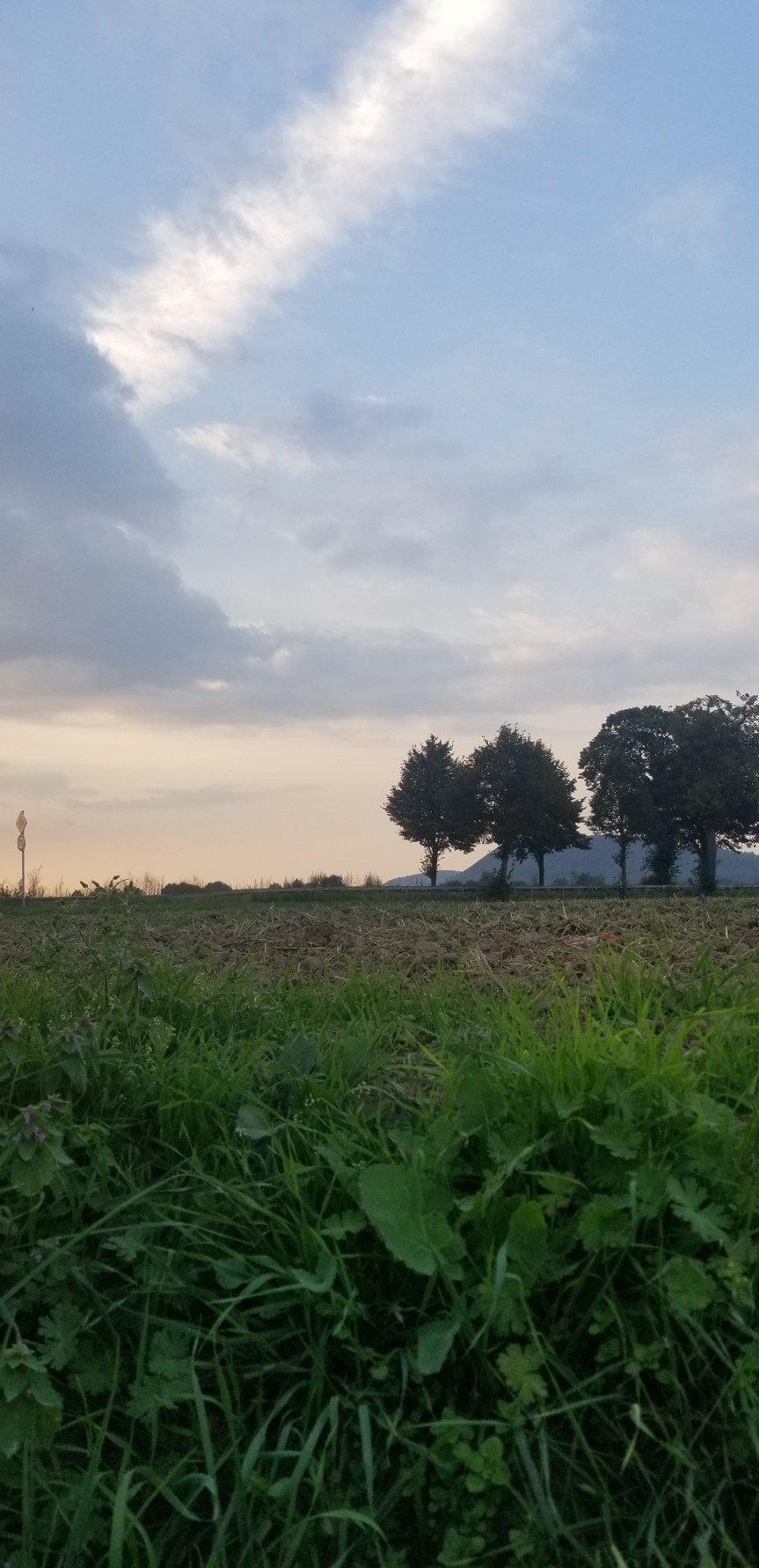 Wochenrückblick 37-2021