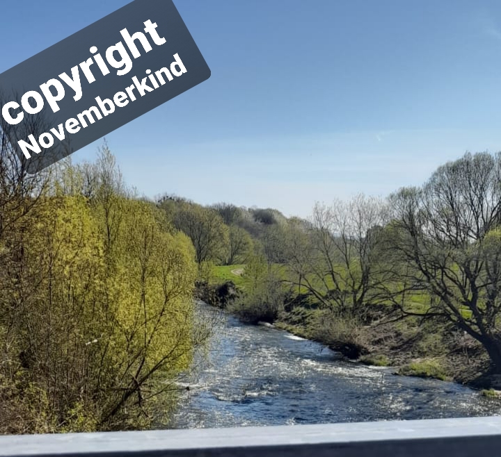 Wochenrückblick 15-2022