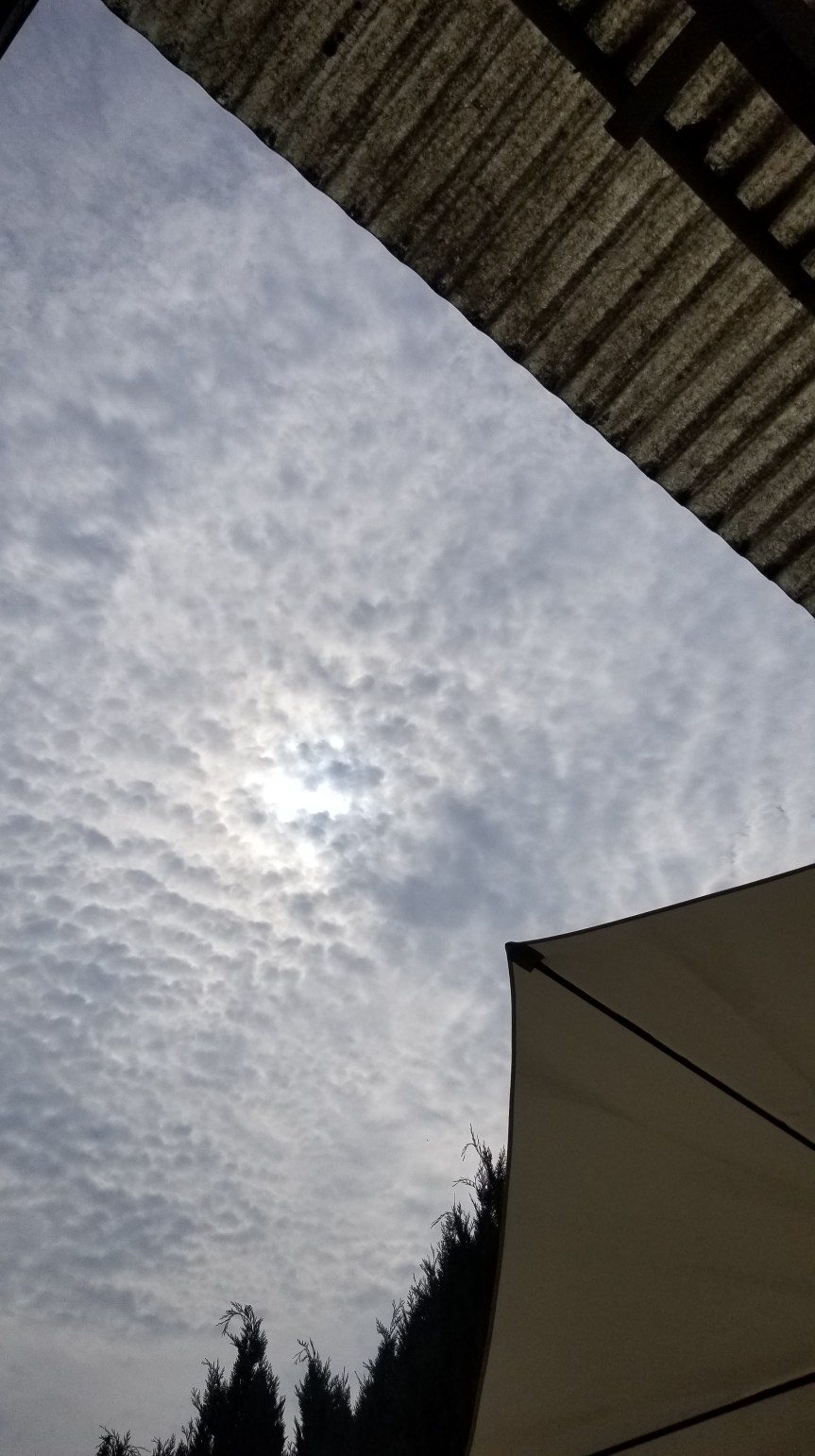 Wochenrückblick 28- 2022