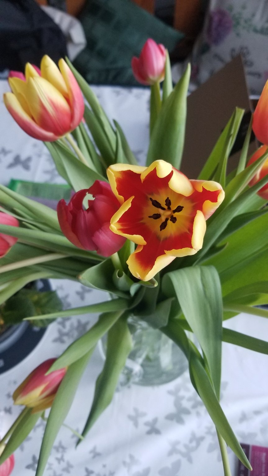 Flower Friday 02 –&nbsp;2023