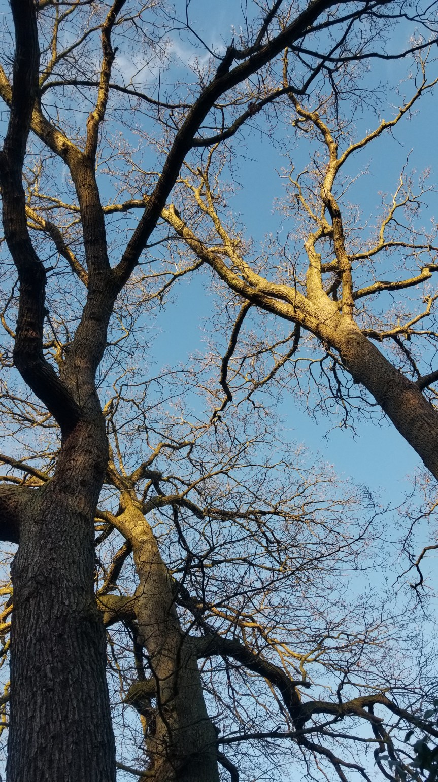 12tel Blick im März&nbsp;2023