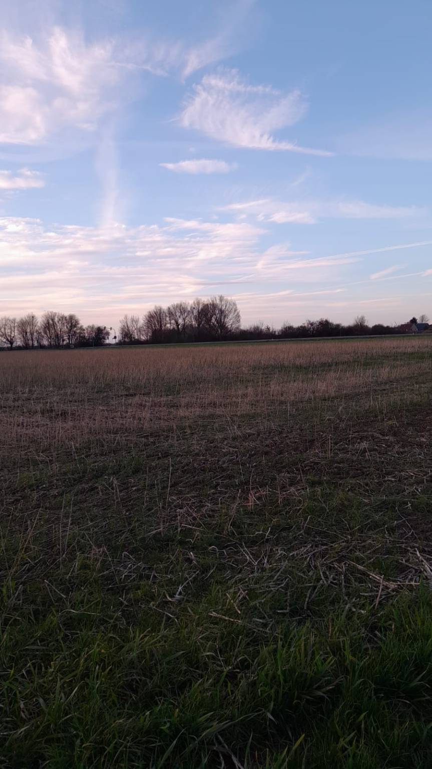 Wochenrückblick 11-2023