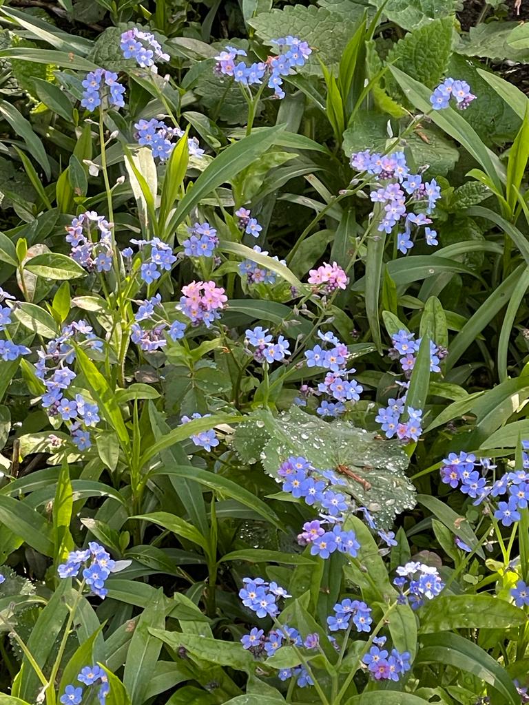 Und sonst..wie geht es dir&nbsp;?