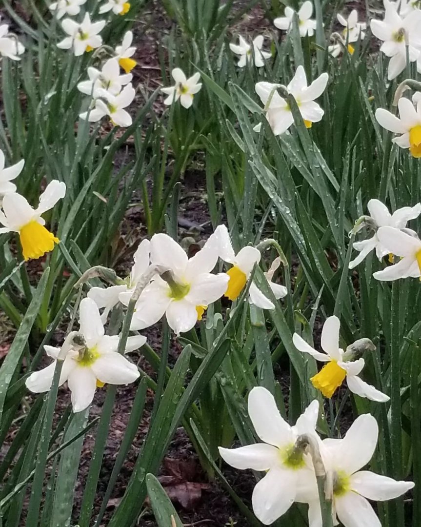 Freitags Füller 08 –&nbsp;2023