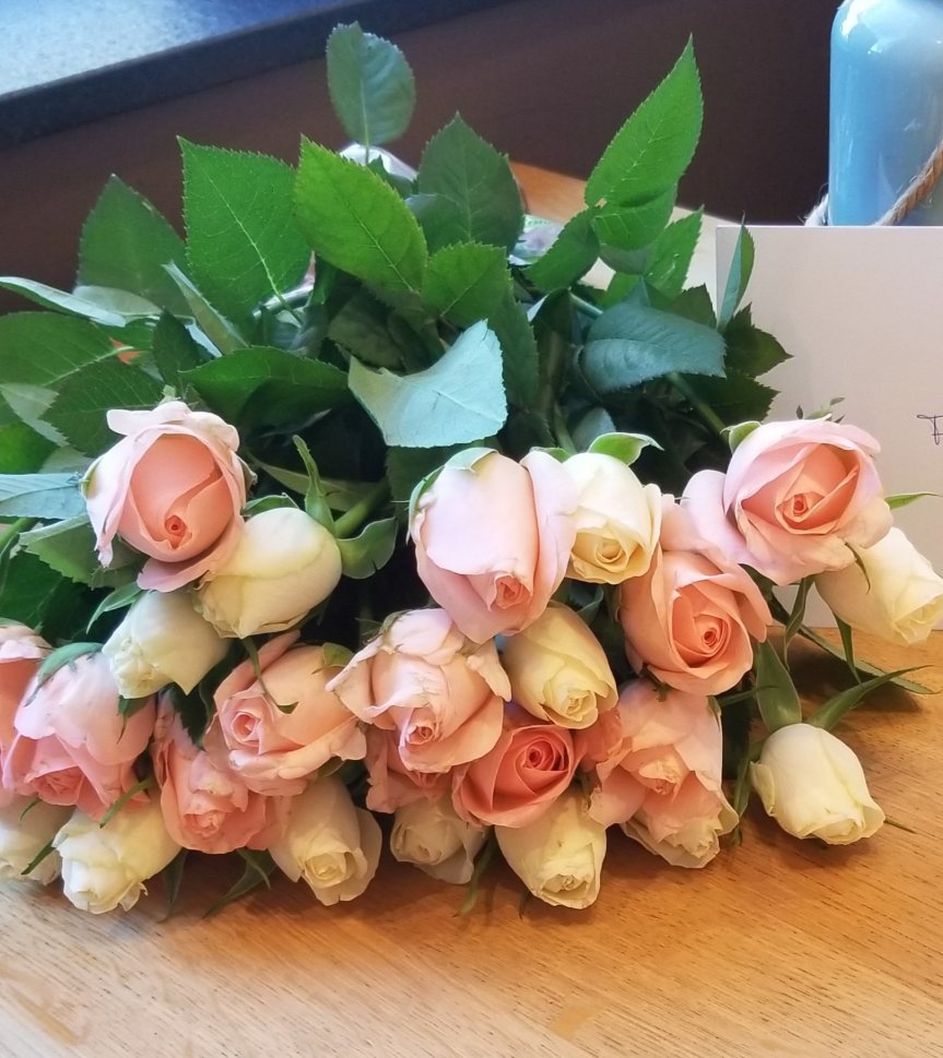 Wochenrückblick 19 – 2023 oder von der Teilnahme an einer Lese-Challenge und anderen&nbsp;Akitvitäten