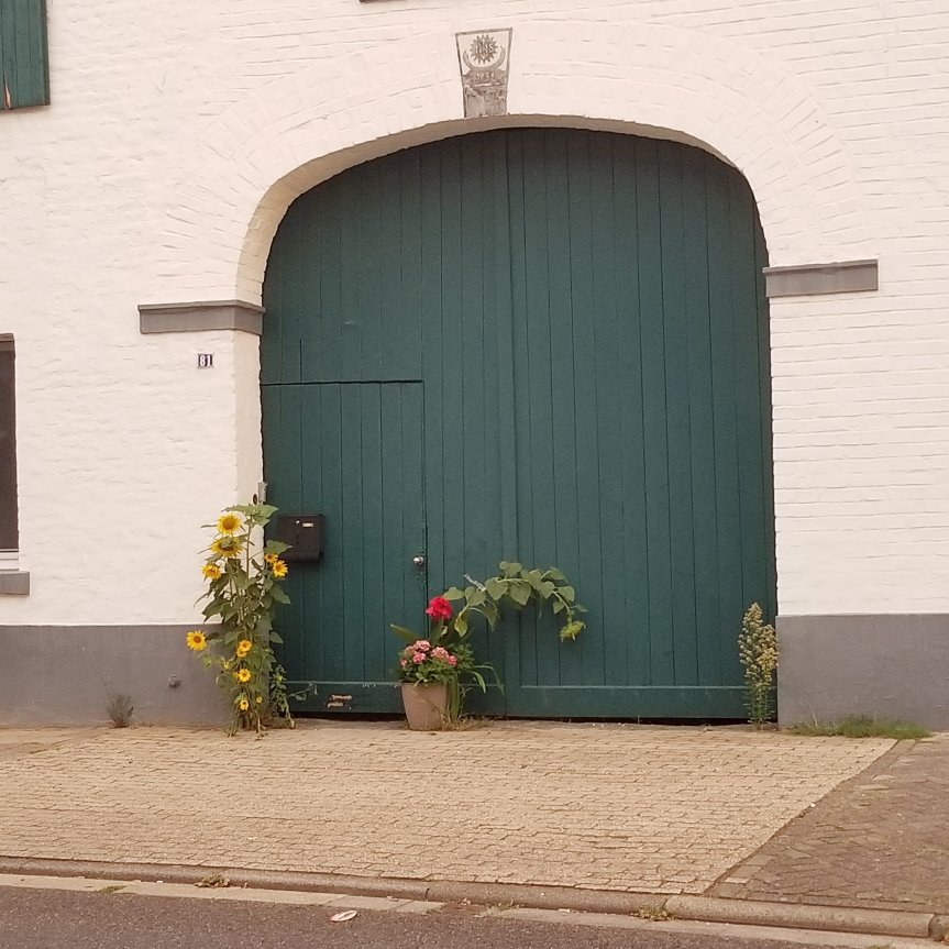 Wochenrückblick 29-2023