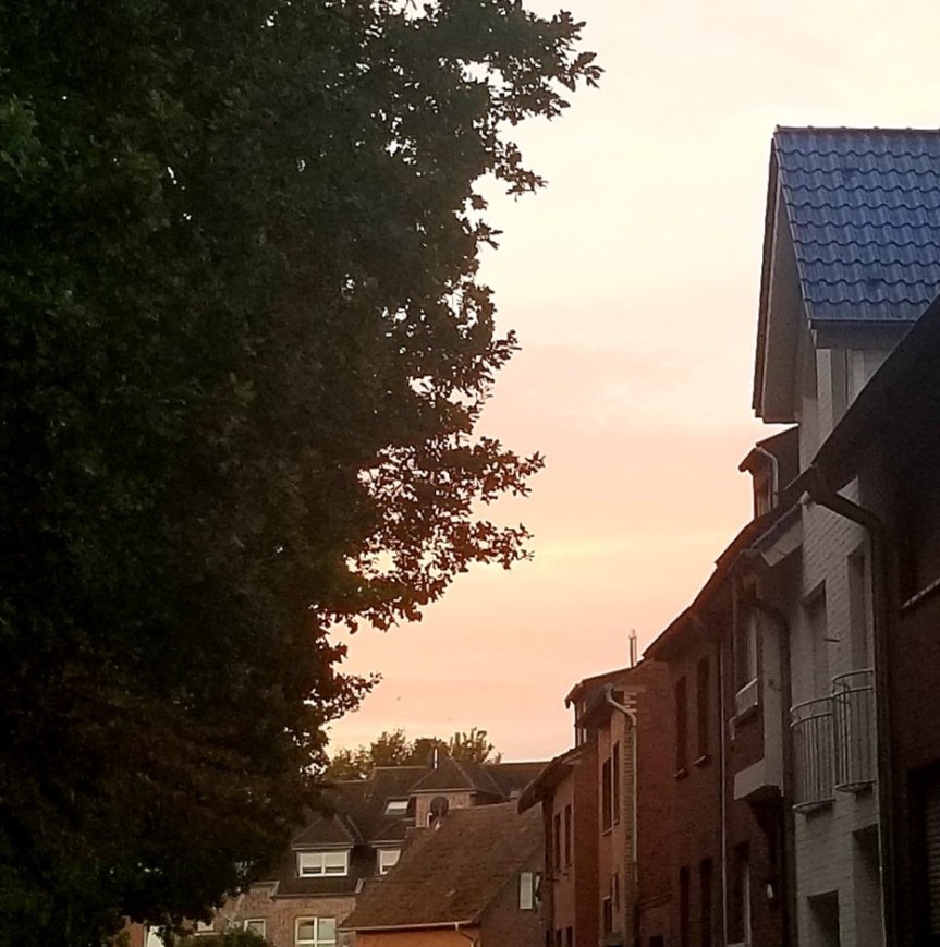 Wochenrückblick 33-2023