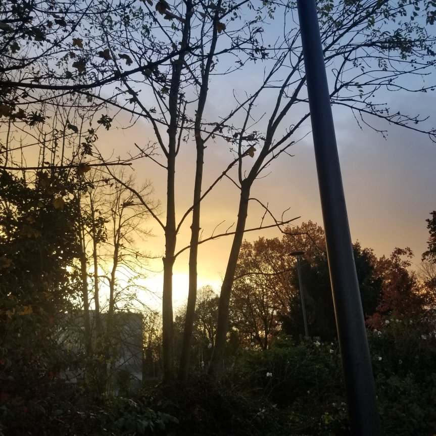 Wochenrückblick 40-2023 oder leise, schöne&nbsp;Momente