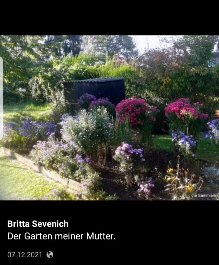 Wochenrückblick 43 – 2024 oder ein Versuch mir Ruhe zu&nbsp;gönnen