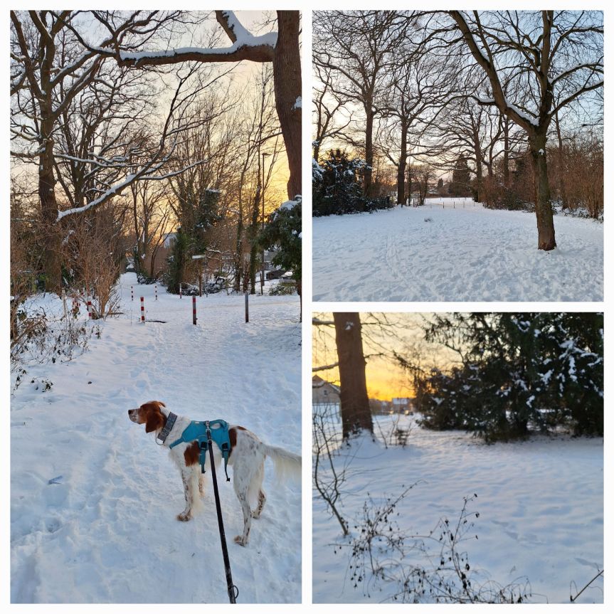 Wochenrückblick #3/2024 oder Schneebilder und&nbsp;Nachdenkliches