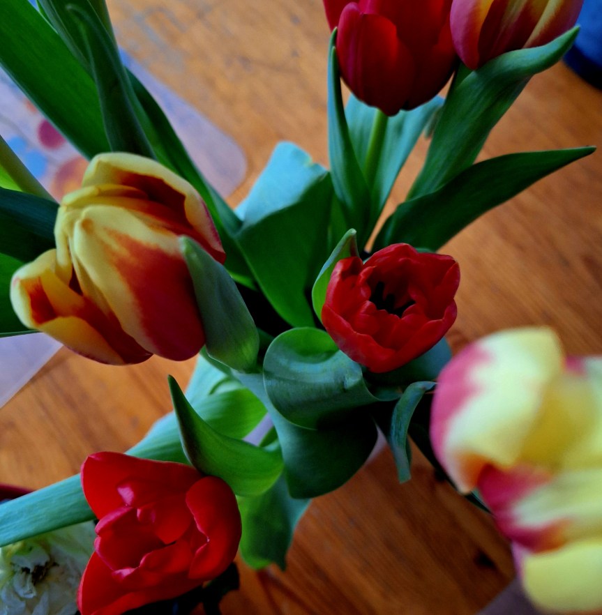 Der Freitagsfüller mit Blick auf die Ängste der Kinder vor den Wahlen und die Aussicht auf ein bisschen Frühling am&nbsp;Wochenende
