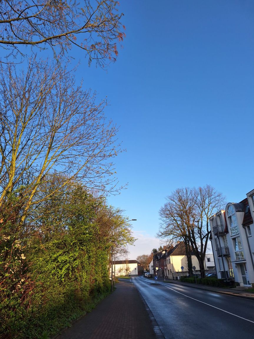 Wochenrückblick #11-2024