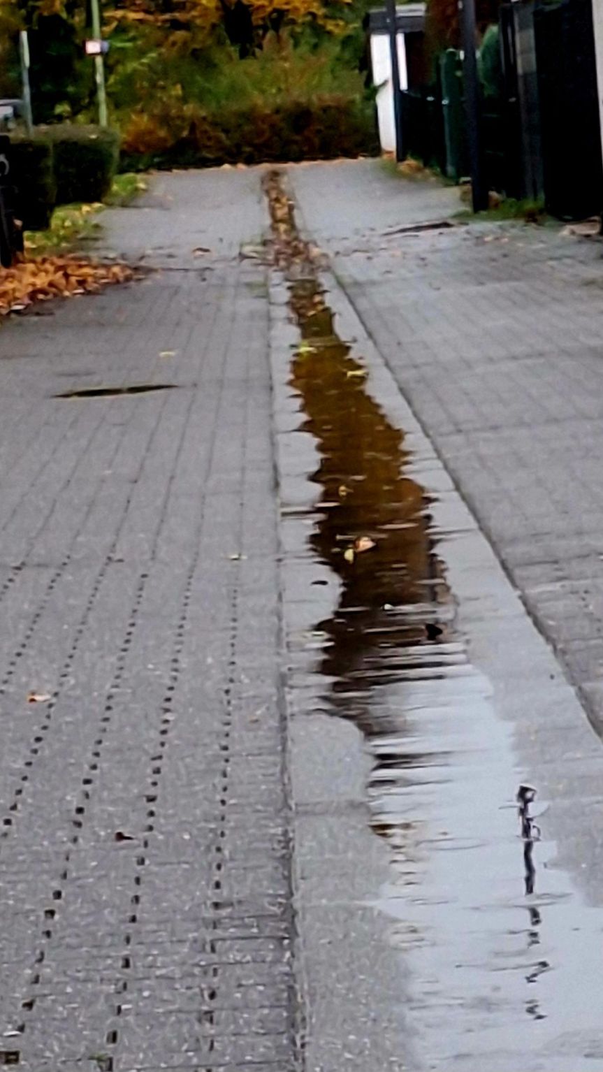 Wochenrückblick #25-2024 und ein Blick auf die Herausforderungen von Kindern und Eltern im&nbsp;Bildungssystem