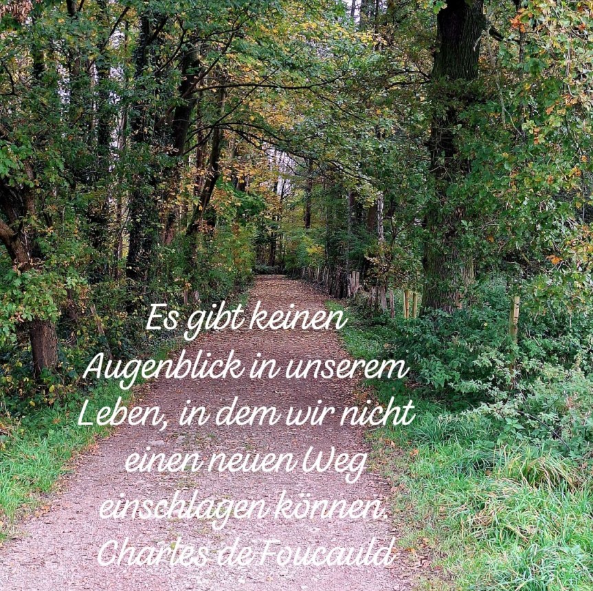 Über eine Saatgutbibliothek, Spielfreude mit Kindern und einer Frau die mir imponiert&nbsp;hat