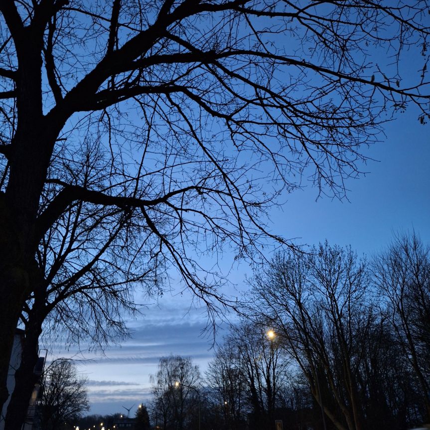 12 vom 12 im&nbsp;März