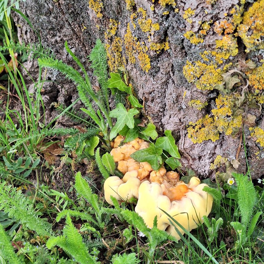 Wochenrückblick : Leben zwischen Alltag und&nbsp;Auszeit
