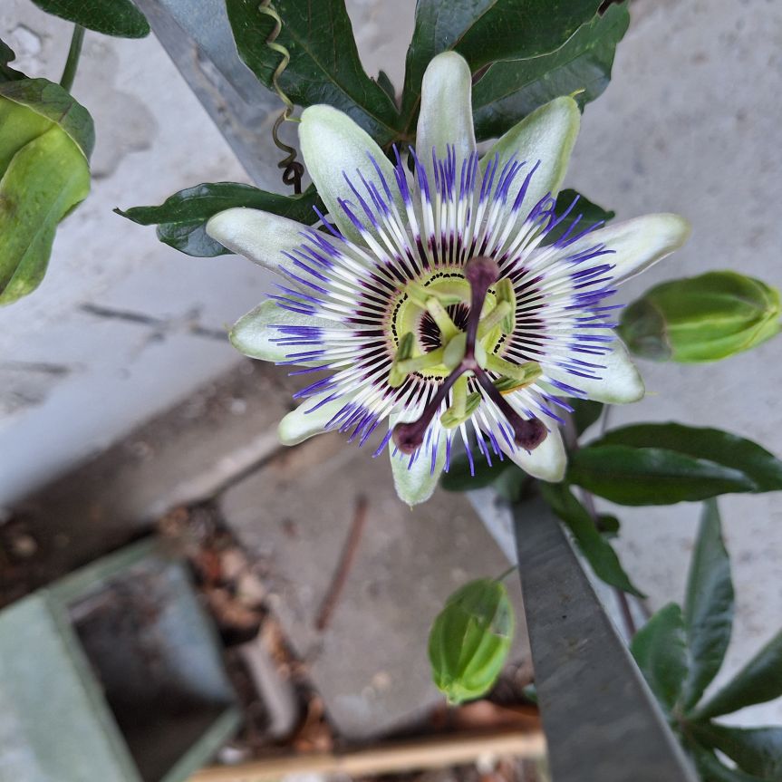 Wochenrückblick | Wenn der Alltag leise rüttelt – Eine Woche zwischen Sommerhitze, Alltag und innerem&nbsp;Aufbruch