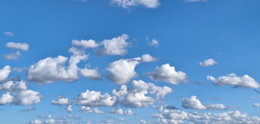 Die Frage nach der eigenen&nbsp;Freiheit