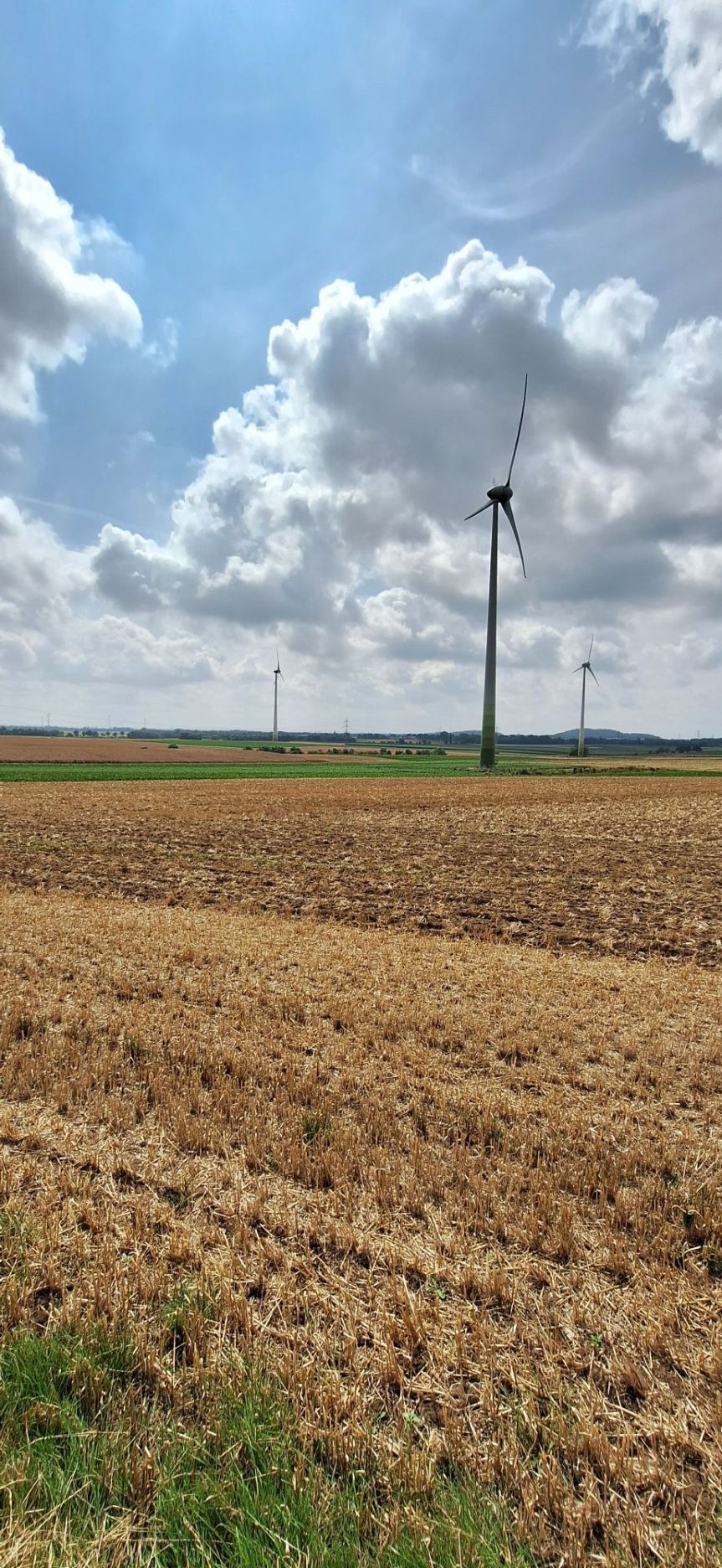 Blick auf eine Woche mit zu viel, aber auch zu wenig Wasser und anderes&nbsp;Alltägliches