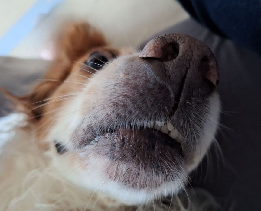 Bunter Herbst: Mein Wochenrückblick voller Inspiration und schöner&nbsp;Momente