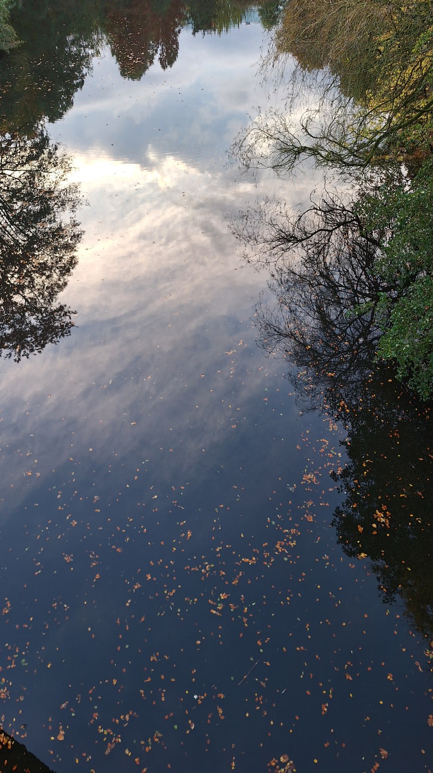 Wochenrückblick -Eine Woche voller Begegnungen, Ideen und guter&nbsp;Stunden