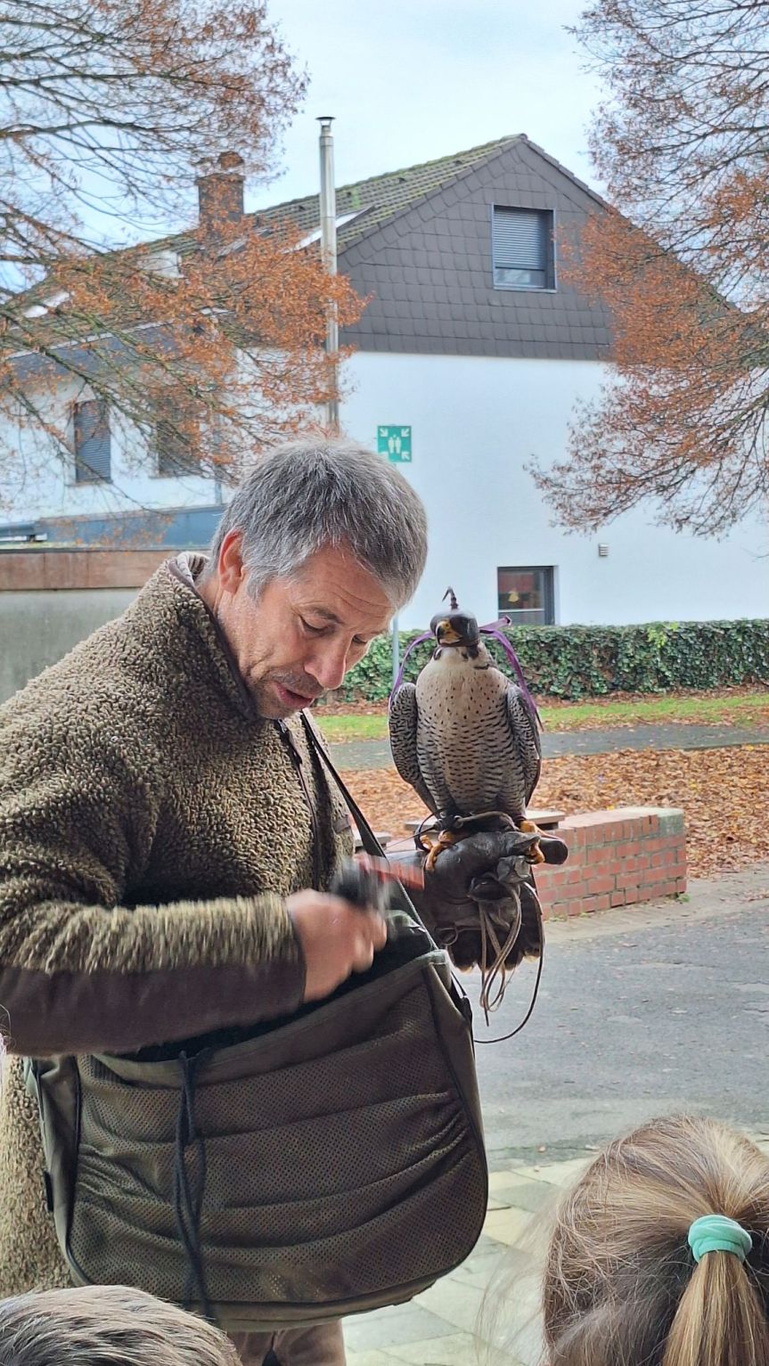 Woche im Rückblick: Adventszeit und&nbsp;Lesefreuden