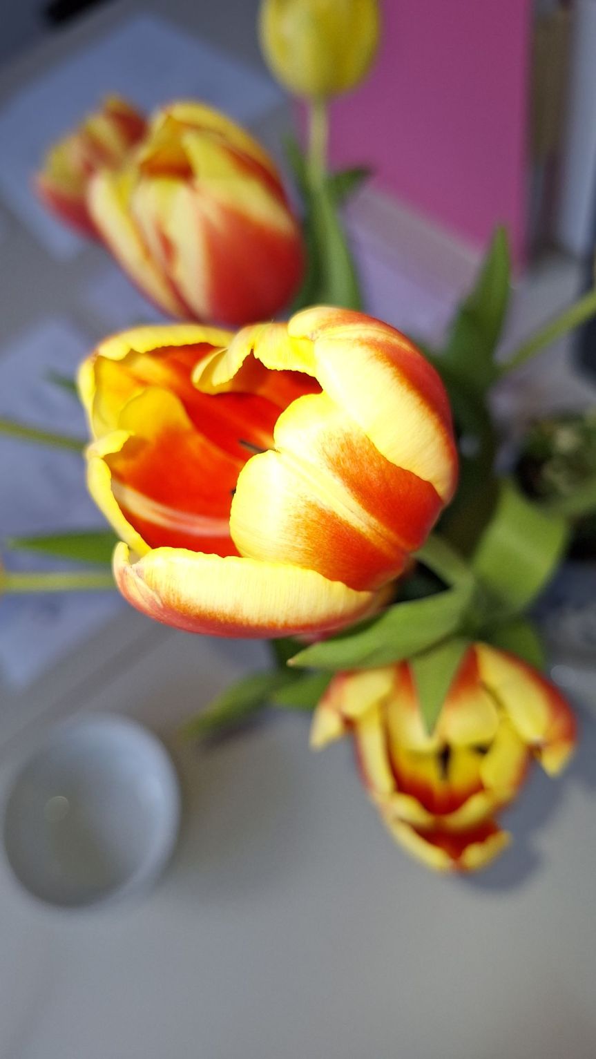 Freitagsfüller 06/2026 – Freier Tag im&nbsp;Alltag